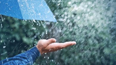 Heavy rain likely in Telangana on Aug 27-28: Met