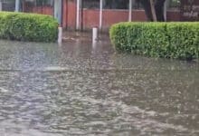 Showers of relief: Heavy rain cools NCR, brings respite from humid weather