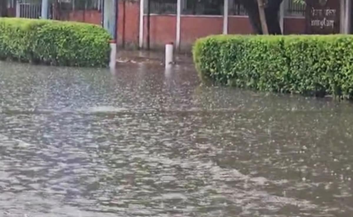 Showers of relief: Heavy rain cools NCR, brings respite from humid weather