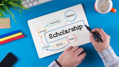 The NMMS scholarship provides financial support of ₹1,000 per month to Class 8 students in government schools.