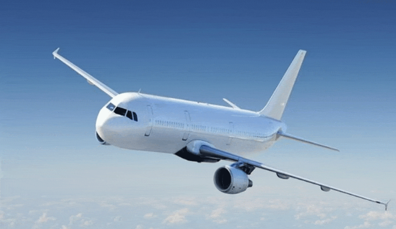 13-year-old girl flies' solo to Delhi from