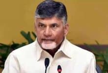 Andhra CM urges Centre to support aqua farmers hit hard by US tariffs