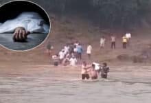 Telangana Rain: Tribal Man Dies Crossing Flooded River in Asifabad, Villagers Demand Bridge