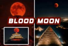 Watch: Rare Blood Moon Mesmerizes the World, Social Media Flooded with Stunning Images and Videos