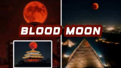 Watch: Rare Blood Moon Mesmerizes the World, Social Media Flooded with Stunning Images and Videos