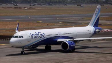 IndiGo Flight Escapes Major Mishap After Bird Hit at Hyderabad Airport