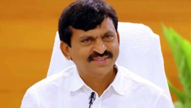Telangana to Emerge as a Role Model in BC Caste Census, Says Minister P Srinivas Reddy