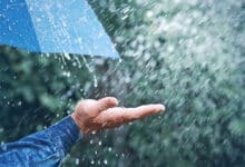 Thunderstorms, heavy rain forecast for parts of Tamil Nadu today