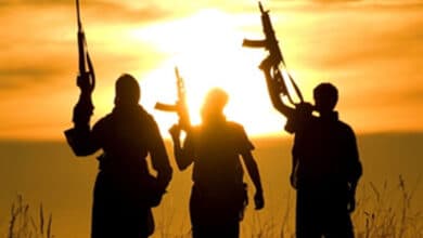 Revival by proxy: Islamic State taps Indian Mujahideen's infrastructure to expand in India