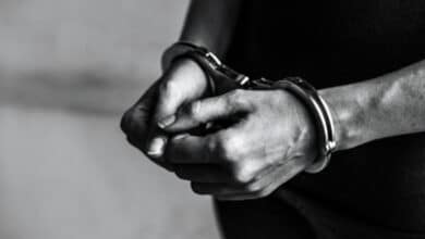 DRI Seizes 1,300 Kgs of Ganja Worth Rs 2.6 Crore, Three Arrested
