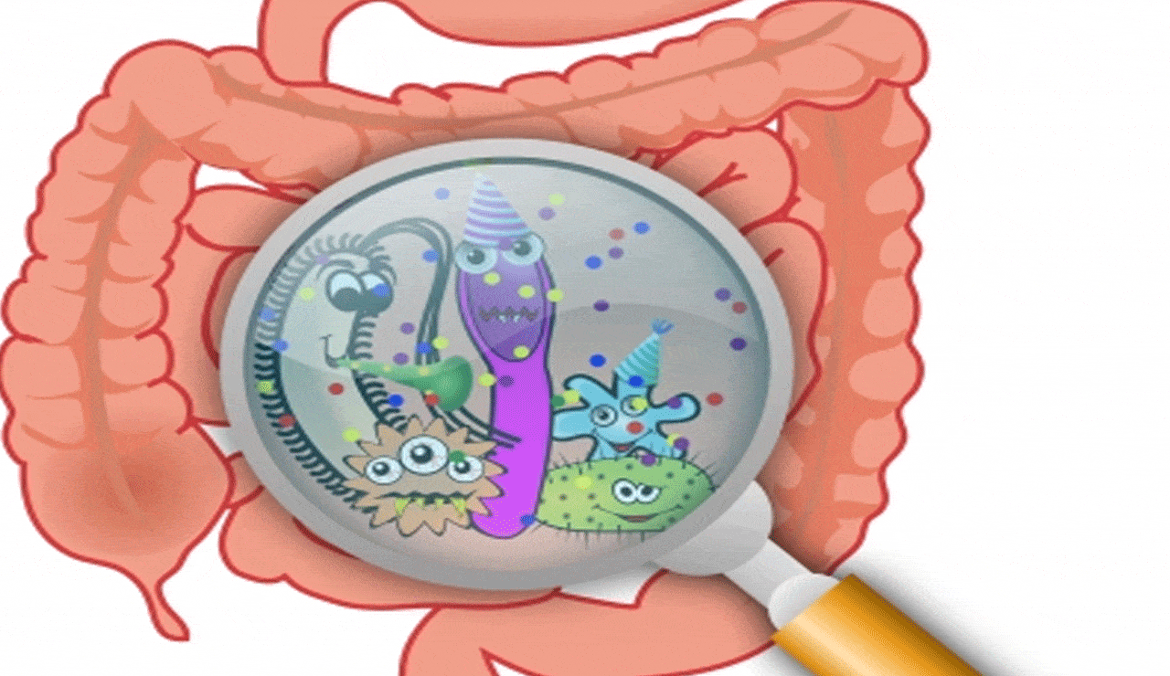 A healthier gut may help improve depression and anxiety, says study