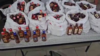 Hyderabad Police Bust Illegal IMFL Sale; 318 Bottles Seized, One Arrested